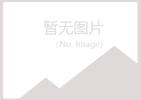 龙山区冷安会计有限公司